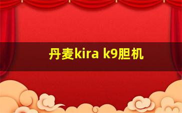 丹麦kira k9胆机